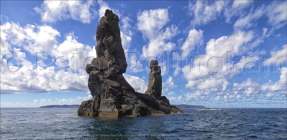 Peter Bellingham Photography Sea Stacks - Nepean Island Norfolk Island - NSW T (PBH4 00 12365)